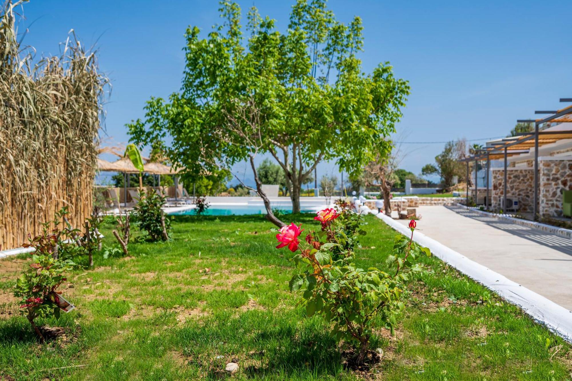 Homes Eva'S Garden, Poolside Cozy Havens In Kos Agios Dimitrios  المظهر الخارجي الصورة